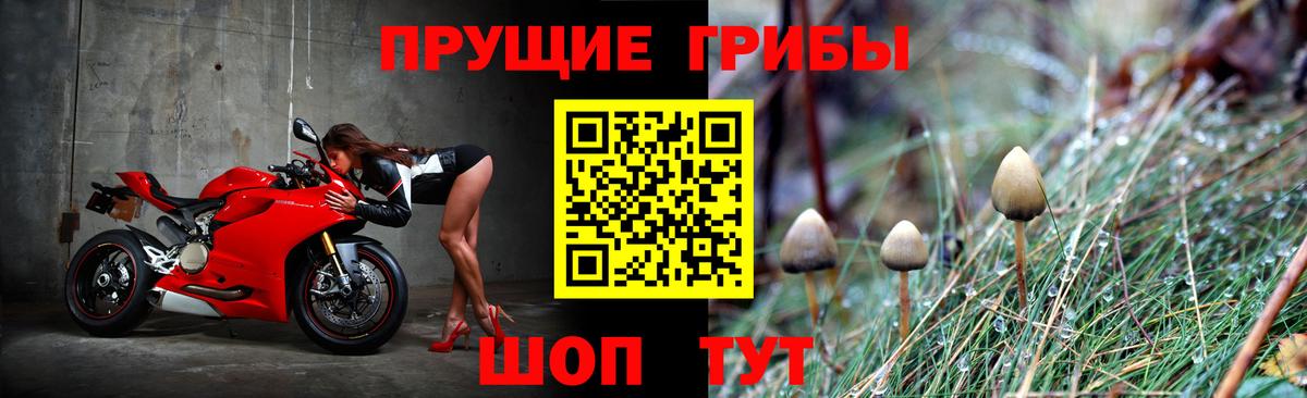 Кумертау  цена   Галлюциногенные грибы прущие грибы  Вход с VPN  Псилоцибиновые грибы GOLDEN TEACHER 