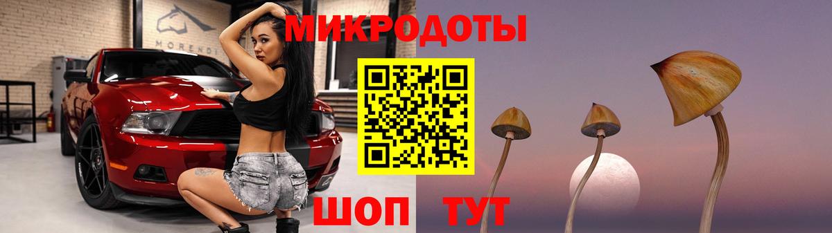 Псилоцибиновые грибы Cubensis Кумертау